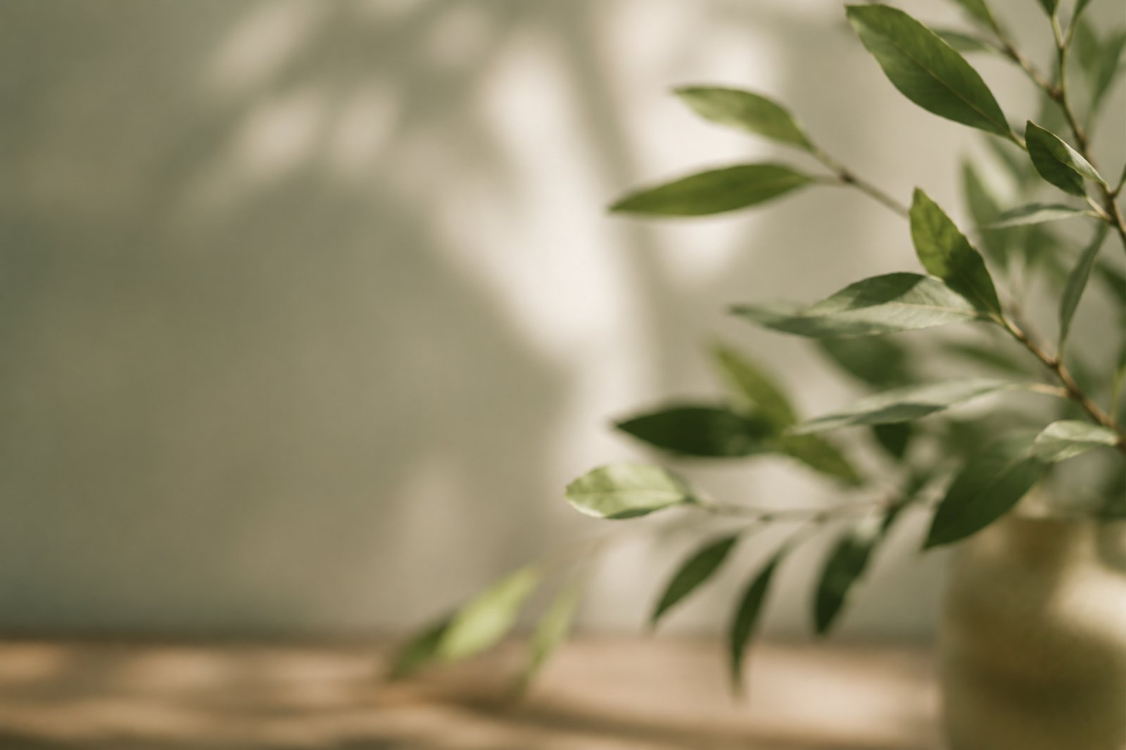 Blurred olive branch in soft interior light